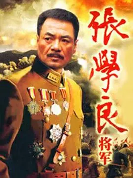 《张学良将军》影评：少帅风云一生，家国情怀下的无奈抉择与历史真相