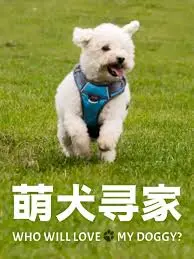 《萌犬寻家》：汪星人的治愈之旅，比雄鹿VS活塞的爆冷还感人！